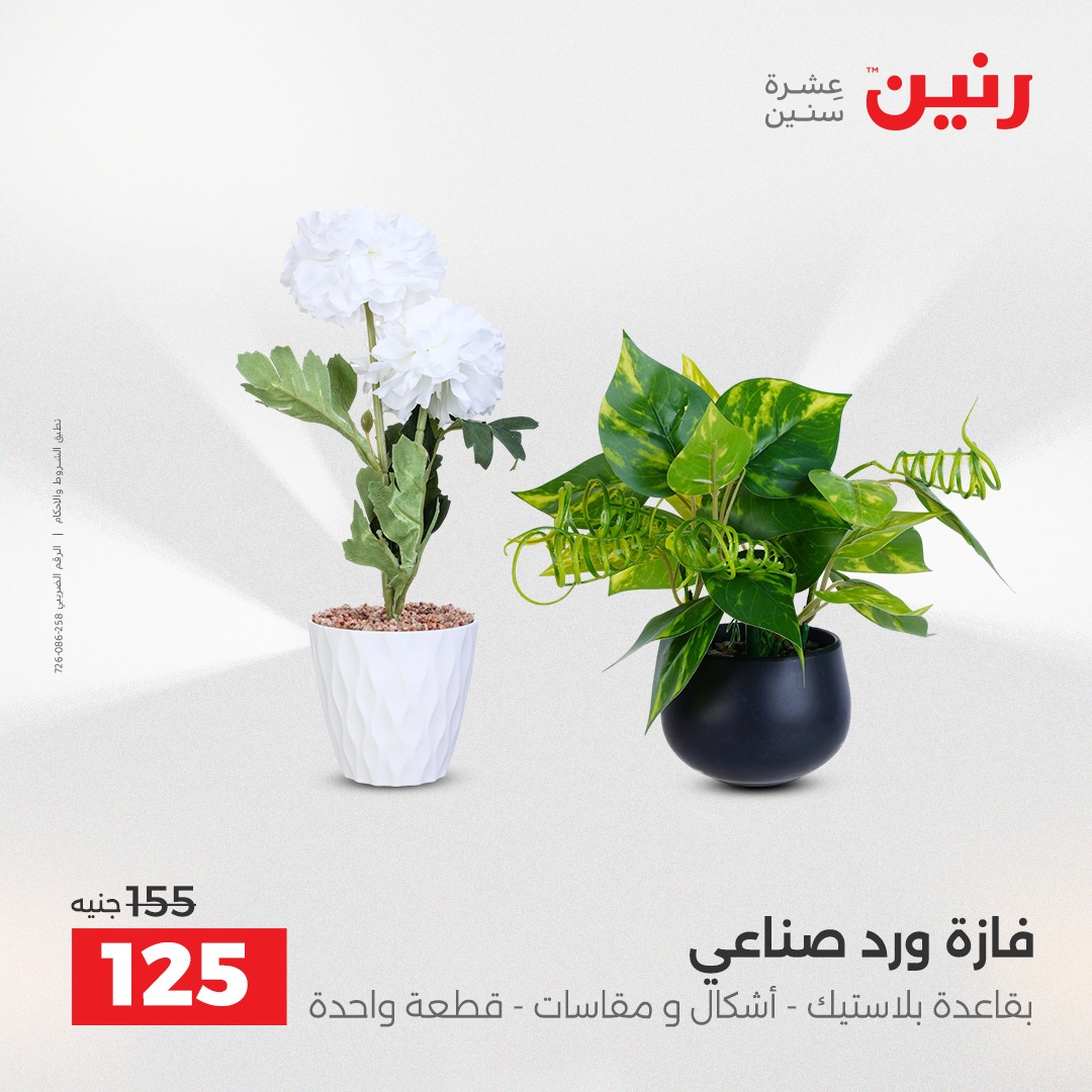 raneen offers from 18dec to 20dec 2025 عروض رنين من 18 ديسمبر حتى 20 ديسمبر 2025 صفحة رقم 149